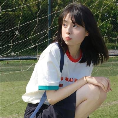 豹